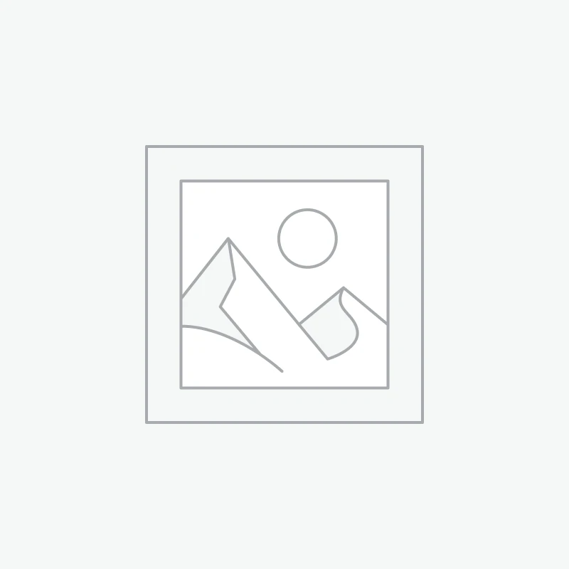 City Bike Tours